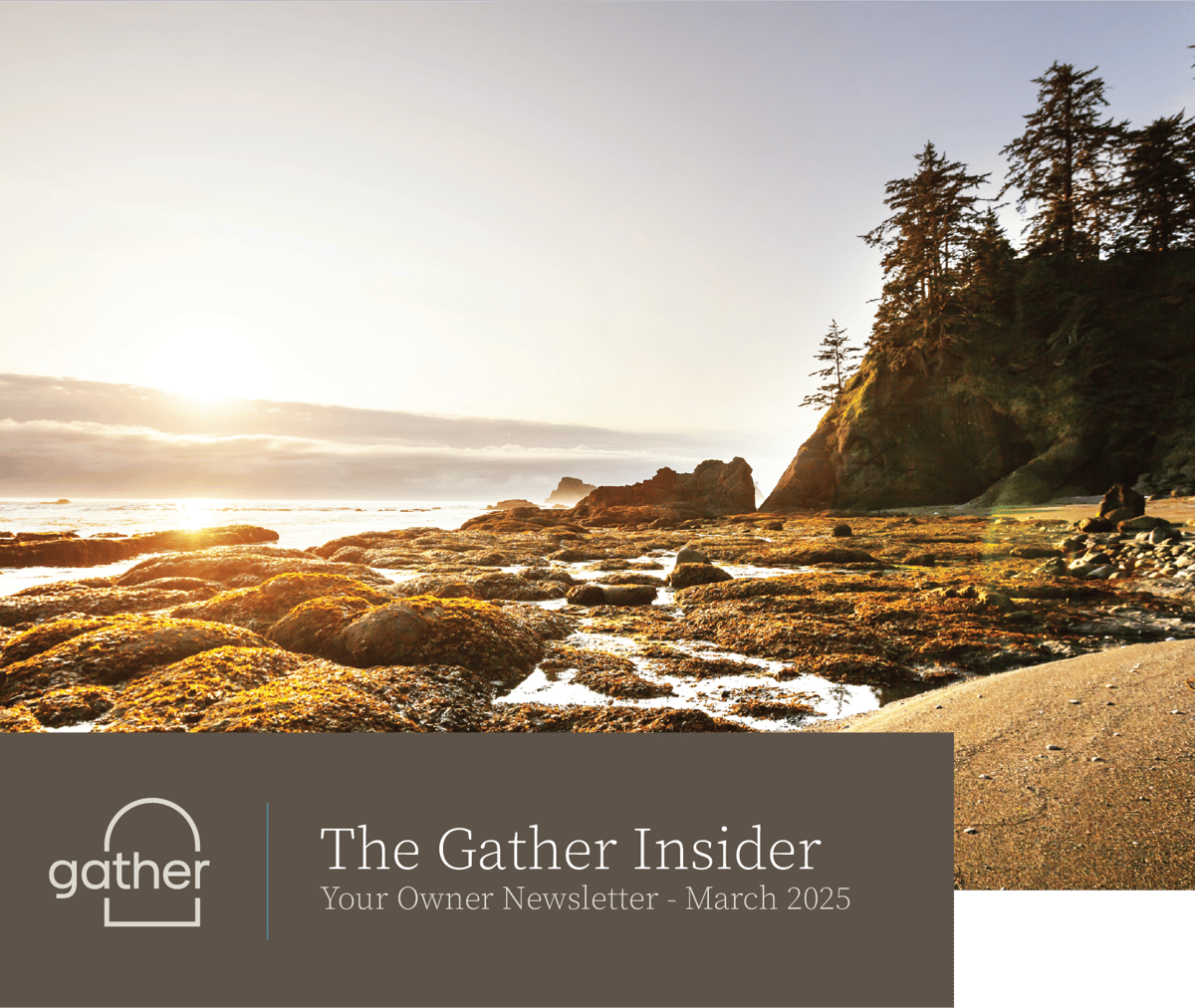 The Gather Insider Newsletter (March 2025)