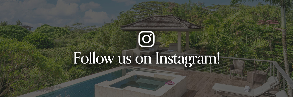follow us on ig